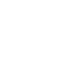 Shiseido